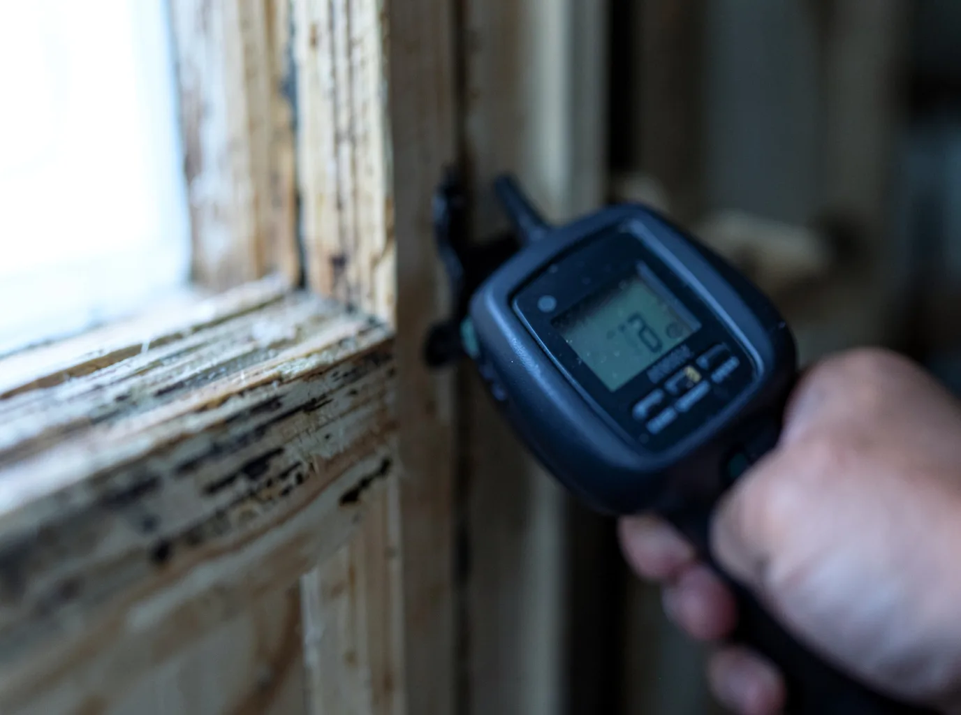 Moisture Inspection And Documentation in Fountain Green, UT
